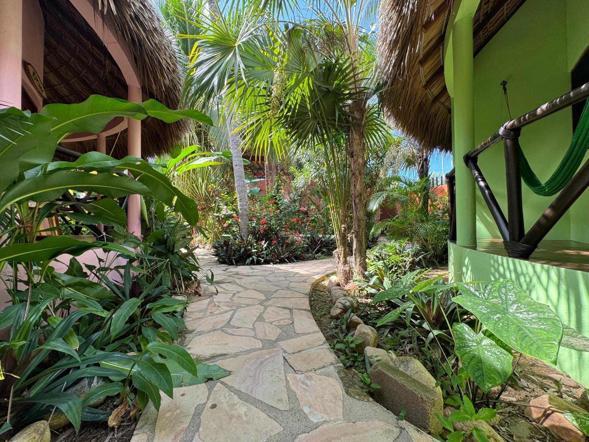 One Love Hostal Puerto Escondido المظهر الخارجي الصورة