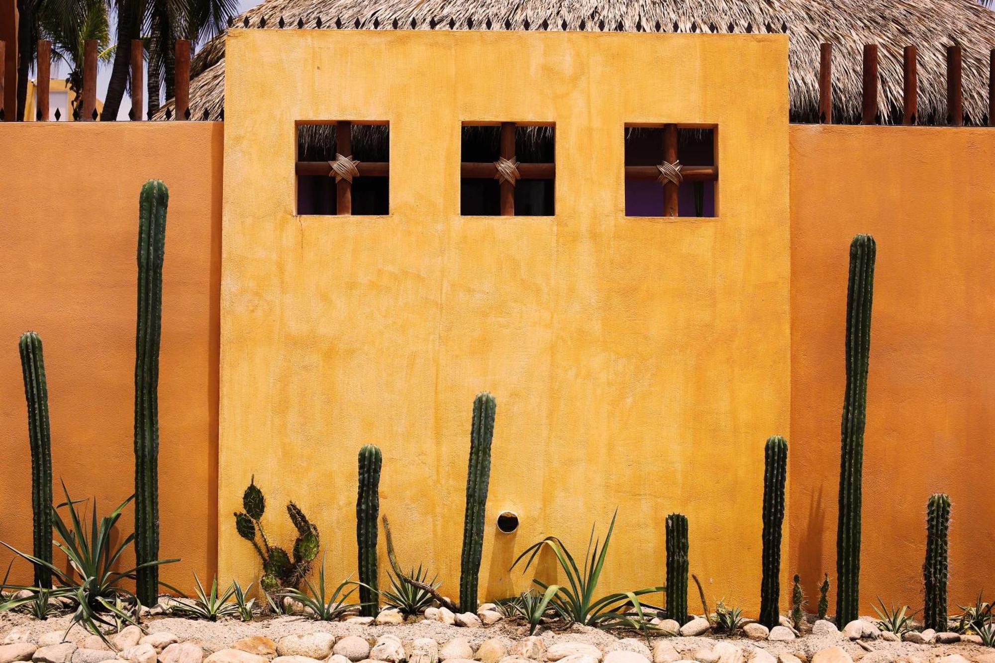 One Love Hostal Puerto Escondido المظهر الخارجي الصورة